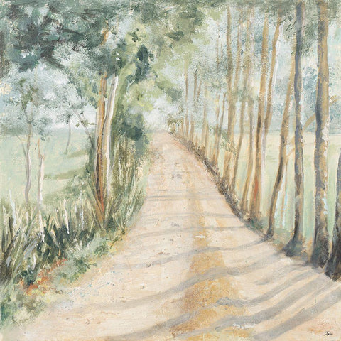 Camino A Casa White Modern Wood Framed Art Print with Double Matting by Pinto, Patricia