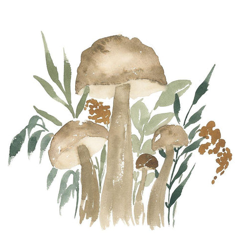 Mushroom Garden II Black Modern Wood Framed Art Print with Double Matting by Price, Lucille