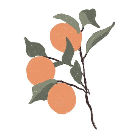 Stem Of Oranges White Modern Wood Framed Art Print by Price, Lucille