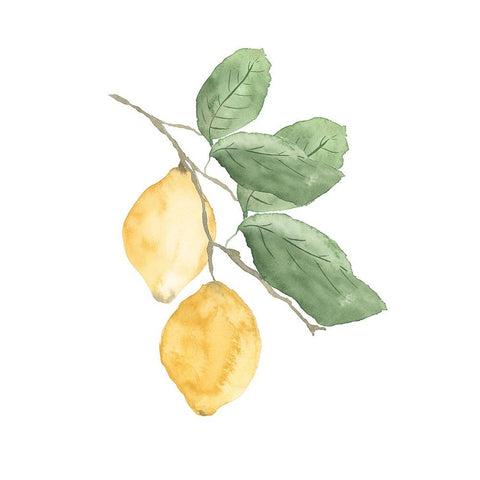 Stem Of Lemons White Modern Wood Framed Art Print by Price, Lucille