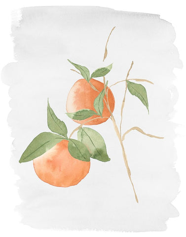 Fresh Oranges White Modern Wood Framed Art Print with Double Matting by Price, Lucille