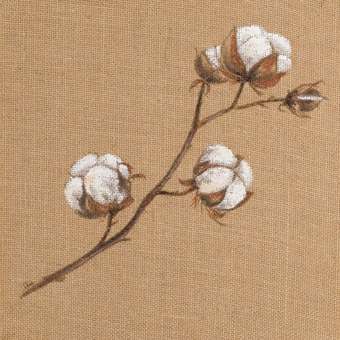 Cotton Branch I White Modern Wood Framed Art Print with Double Matting by Pinto, Patricia