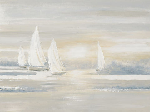 The Cove at Sunrise Black Ornate Wood Framed Art Print with Double Matting by Pinto, Patricia