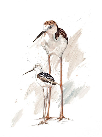 Stilt Birds I Black Ornate Wood Framed Art Print with Double Matting by Pinto, Patricia