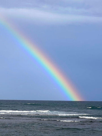 Rainbow Meets Horizon Black Ornate Wood Framed Art Print with Double Matting by Hyler, JB