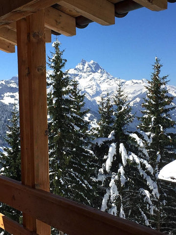 Snowy Morning Black Ornate Wood Framed Art Print with Double Matting by Hyler, JB