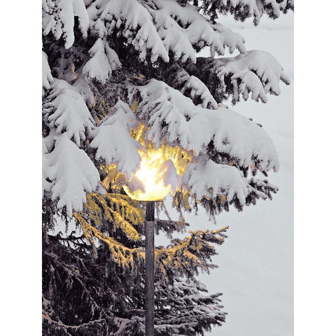 Snowy Lampost Gold Ornate Wood Framed Art Print with Double Matting by Hyler, JB