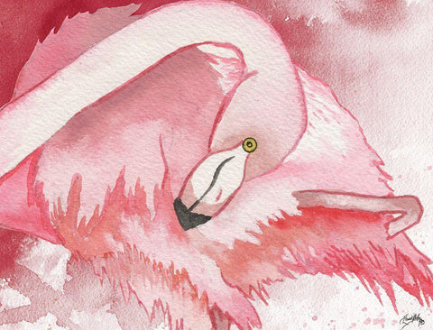 Resting Flamingo White Modern Wood Framed Art Print with Double Matting by Medley, Elizabeth