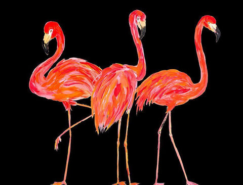 Trio of Flamingos on Black White Modern Wood Framed Art Print with Double Matting by DeRice, Julie