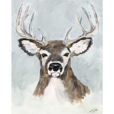 White Tailed Deer On White Black Modern Wood Framed Art Print with Double Matting by DeRice, Julie