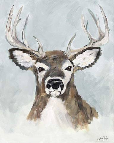 White Tailed Deer On White White Modern Wood Framed Art Print with Double Matting by DeRice, Julie