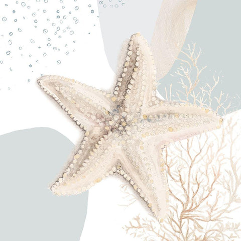 Ocean Oasis Bubbles Starfish White Modern Wood Framed Art Print by Pinto, Patricia