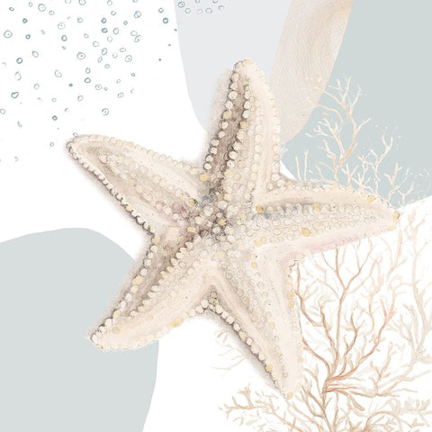 Ocean Oasis Bubbles Starfish White Modern Wood Framed Art Print with Double Matting by Pinto, Patricia