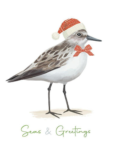 Christmas Sandpiper I Black Ornate Wood Framed Art Print with Double Matting by Sheppard, Lucca