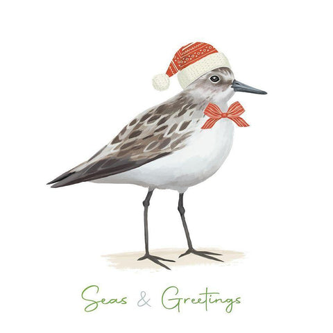 Christmas Sandpiper I Black Modern Wood Framed Art Print by Sheppard, Lucca