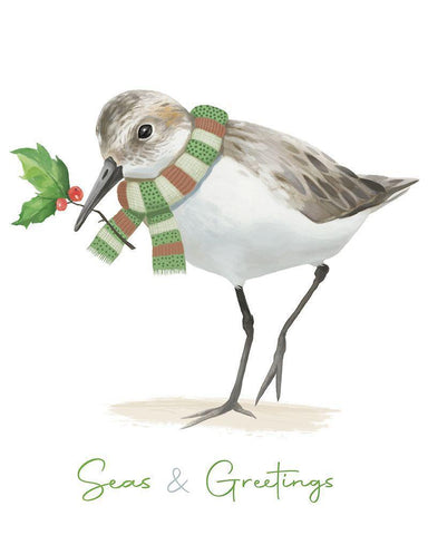Christmas Sandpiper II White Modern Wood Framed Art Print with Double Matting by Sheppard, Lucca