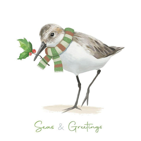 Christmas Sandpiper II Black Modern Wood Framed Art Print by Sheppard, Lucca