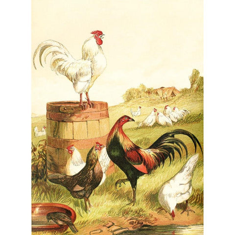 Happy Chickens Gold Ornate Wood Framed Art Print with Double Matting by Piddix