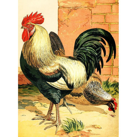 Rooster Gold Ornate Wood Framed Art Print with Double Matting by Piddix