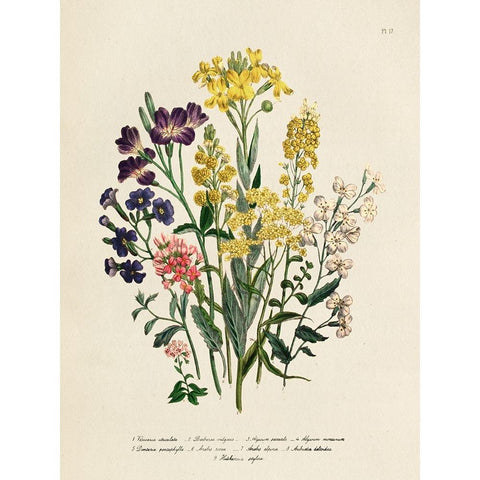 Vintage Flowers I White Modern Wood Framed Art Print by Piddix