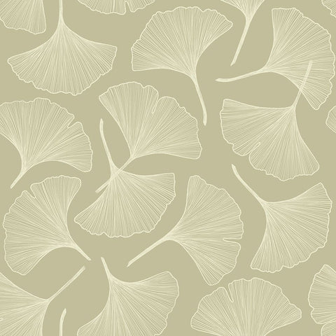 Fan Pattern Black Ornate Wood Framed Art Print with Double Matting by Piddix