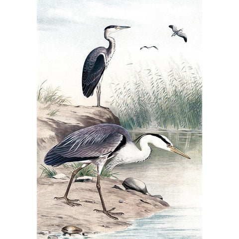 Along the Shores I Black Modern Wood Framed Art Print with Double Matting by Piddix