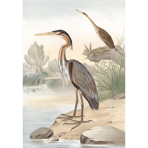 Along the Shores II Black Modern Wood Framed Art Print with Double Matting by Piddix