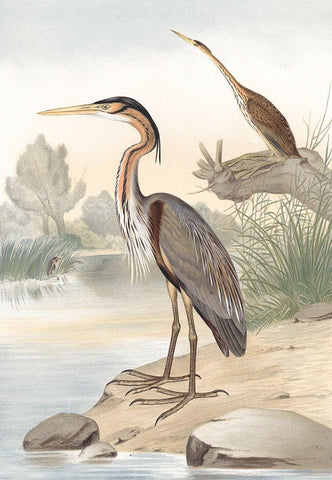 Along the Shores II Black Ornate Wood Framed Art Print with Double Matting by Piddix