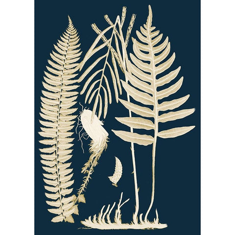 Ferns I White Modern Wood Framed Art Print by Piddix