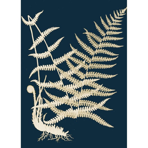 Ferns II White Modern Wood Framed Art Print by Piddix