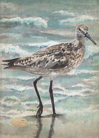 Strolling Sandpiper Black Ornate Wood Framed Art Print with Double Matting by Christopher, Erica