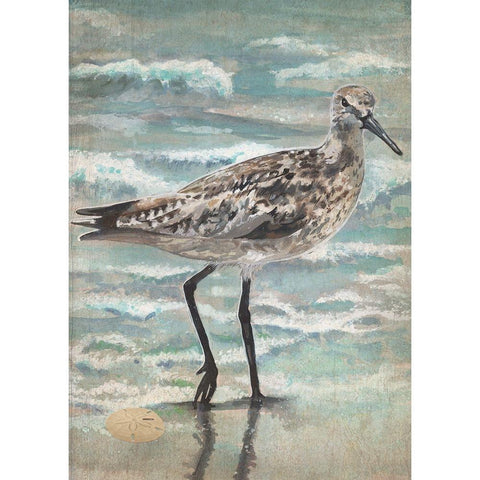 Strolling Sandpiper White Modern Wood Framed Art Print by Christopher, Erica