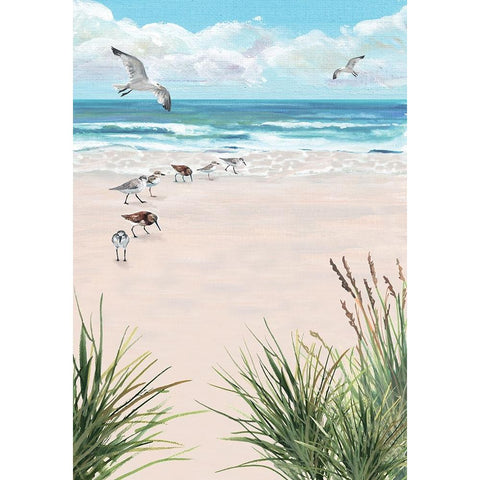 Seagulls On The Beach White Modern Wood Framed Art Print by Christopher, Erica