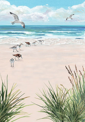 Seagulls On The Beach Black Ornate Wood Framed Art Print with Double Matting by Christopher, Erica
