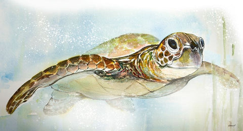 Majestic Turtle Black Ornate Wood Framed Art Print with Double Matting by Diannart