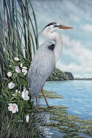 Great Blue Heron White Modern Wood Framed Art Print with Double Matting by Harris, James