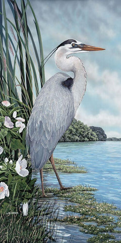 Great Blue Heron Black Ornate Wood Framed Art Print with Double Matting by Harris, James