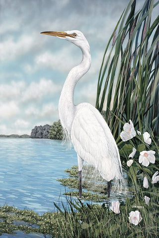 Great White Egret Black Ornate Wood Framed Art Print with Double Matting by Harris, James