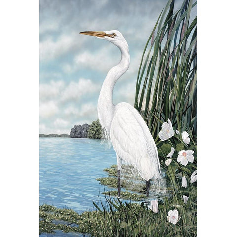 Great White Egret White Modern Wood Framed Art Print by Harris, James