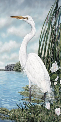 Great White Egret White Modern Wood Framed Art Print with Double Matting by Harris, James