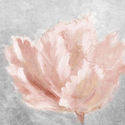 Image Only