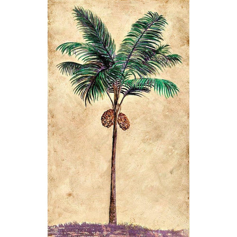 Coconut Tribal Palm II White Modern Wood Framed Art Print by Pattinian, Merri