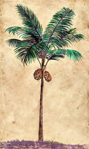 Coconut Tribal Palm II Black Ornate Wood Framed Art Print with Double Matting by Pattinian, Merri