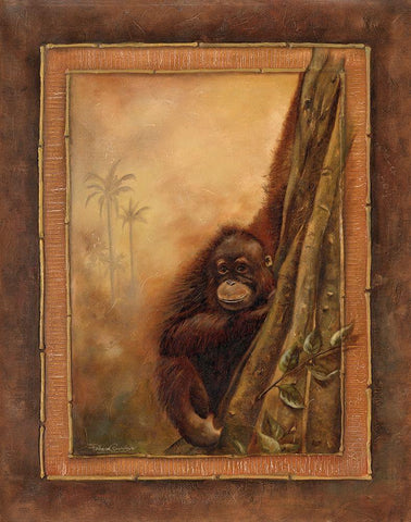 Orangutan II Black Ornate Wood Framed Art Print with Double Matting by Pinto, Patricia