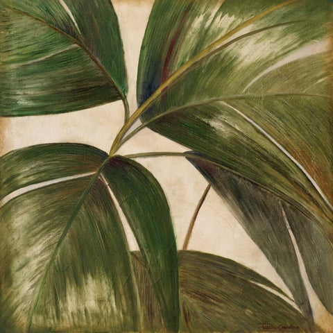 La Palmera III White Modern Wood Framed Art Print by Pinto, Patricia