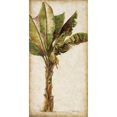 Tropic Banana I Black Modern Wood Framed Art Print with Double Matting by Pinto, Patricia