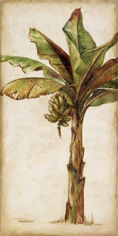 Tropic Banana II White Modern Wood Framed Art Print with Double Matting by Pinto, Patricia