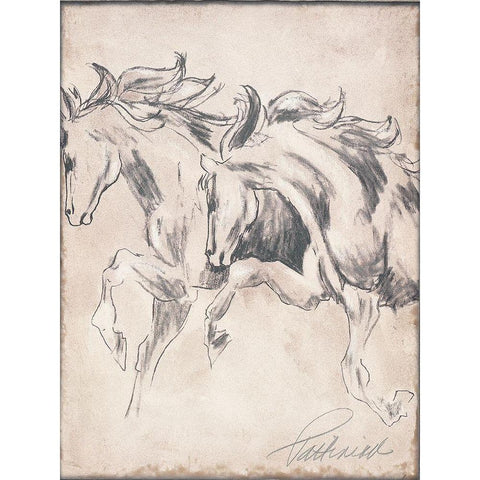 Majestic Horse II Black Modern Wood Framed Art Print with Double Matting by Pattinian, Merri