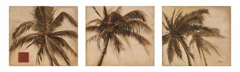 Sepia - Tres White Modern Wood Framed Art Print with Double Matting by Pinto, Patricia