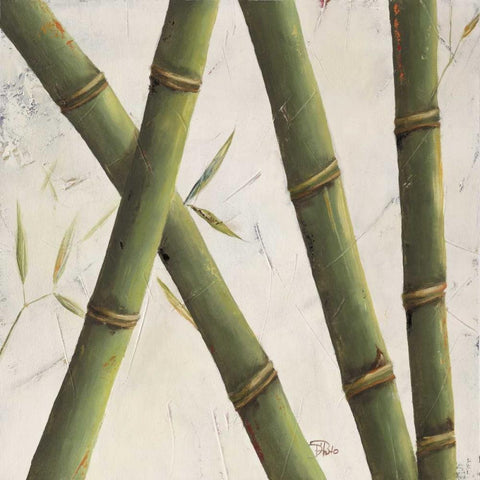 Bambosa Guadua II Black Modern Wood Framed Art Print by Pinto, Patricia